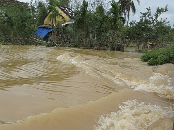 Ngủ Mơ thấy lũ lụt chọn con gì gặp may
