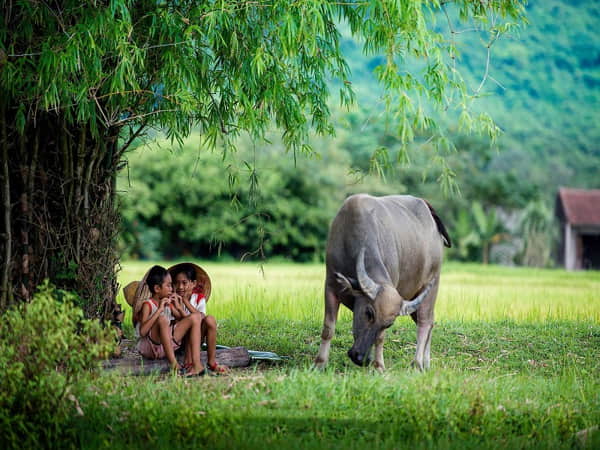Mơ thấy về Quê có ý nghĩa gì