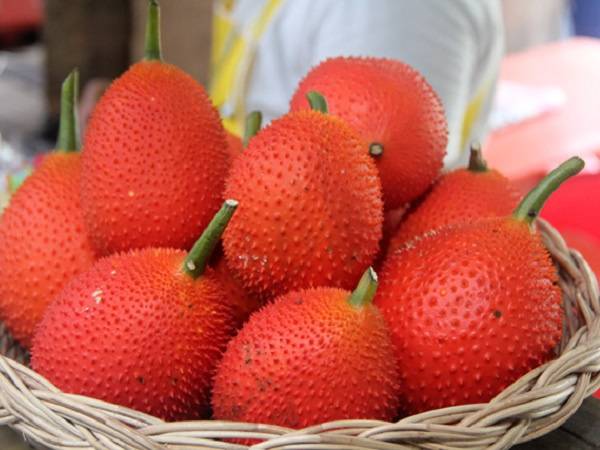 nằm mơ thấy quả gấc