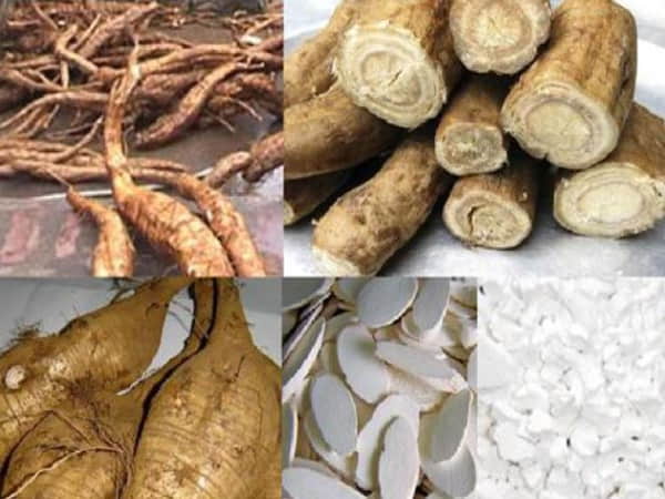 Ngủ nằm mơ thấy củ sắn dây nên chọn cặp số vận may nào ngày hôm nay