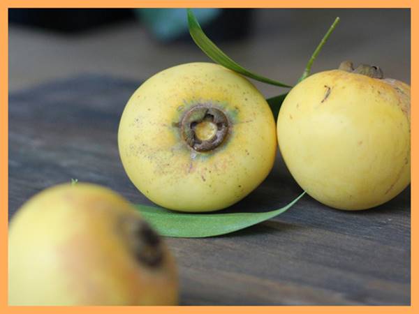 Mơ thấy quả thị đánh con gì? Giải mã điềm báo giấc mơ