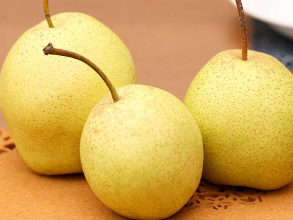 Mơ thấy quả lê đánh con gì? Giải mã ý nghĩa điềm báo giấc mơ