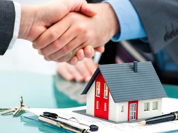 Nằm mơ thấy kiến đen báo điềm gì, đánh số gì ăn chắc