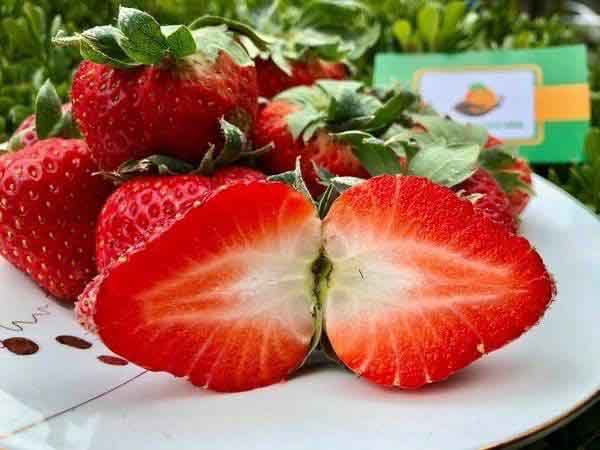 Nằm mơ thấy quả dâu có điềm báo gì