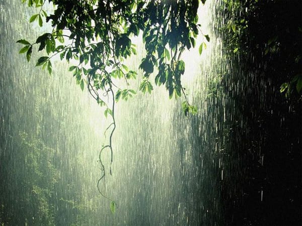 Đi đường gặp ma có phải điềm xui, nên chọn con số nào gặp may