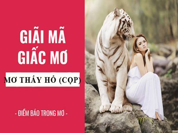Mơ thấy hổ điềm gì lành hay dữ?
