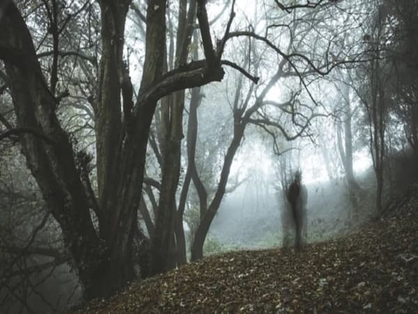 Trường hợp gặp ma khi đang đi trên đường vắng có ý nghĩa gì