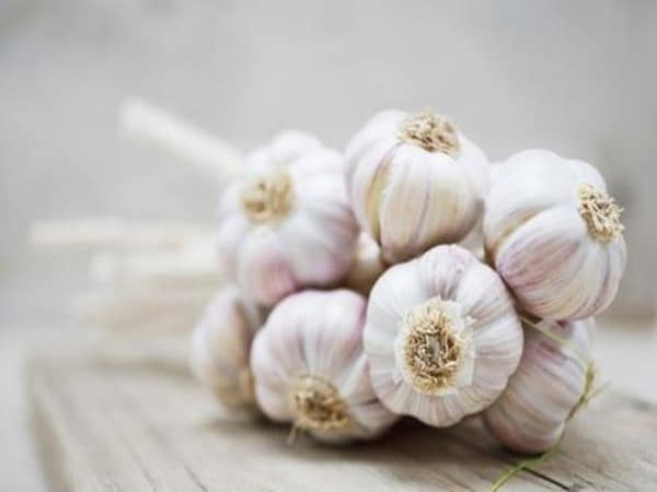 Nhìn thấy củ tỏi có ý nghĩa gì