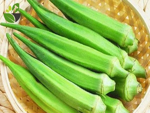 Nêu nhìn thấy đậu bắp non chọn số nào, có ý nghĩa gì