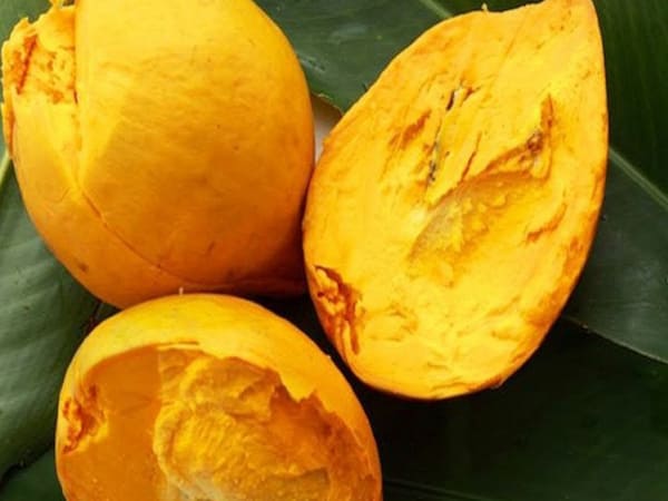 Thấy quả lê ki ma có ý nghĩa gì