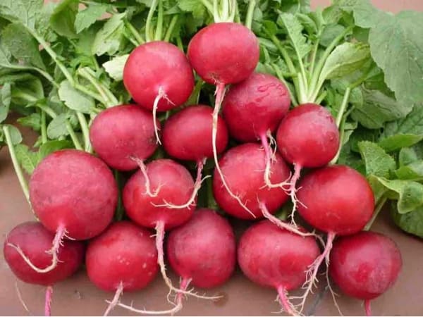 Tình huống thấy củ dền trong giấc mơ