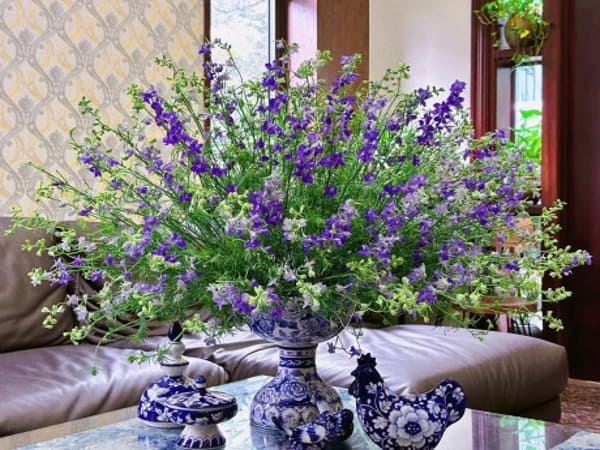 Nhìn thấy một bình hoa violet: