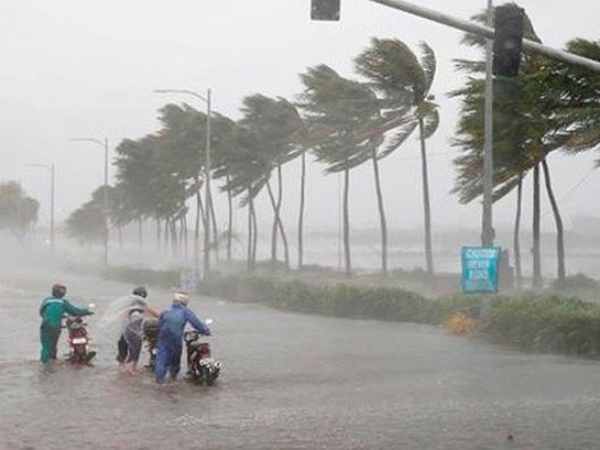 Mơ thấy bão tàn phá nhà cửa, cây cối