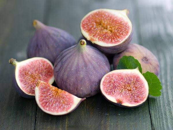Chiêm bao thấy quả sung bị hỏng