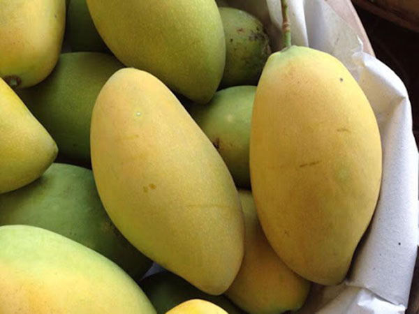 Bí ẩn nằm mơ thấy quả xoài mà bạn chưa biết