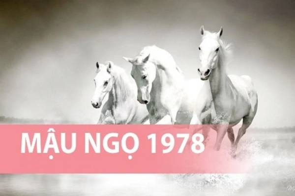 Con số đẹp tuổi Mậu Ngọ 27/8/2025 là gì để phát tài?