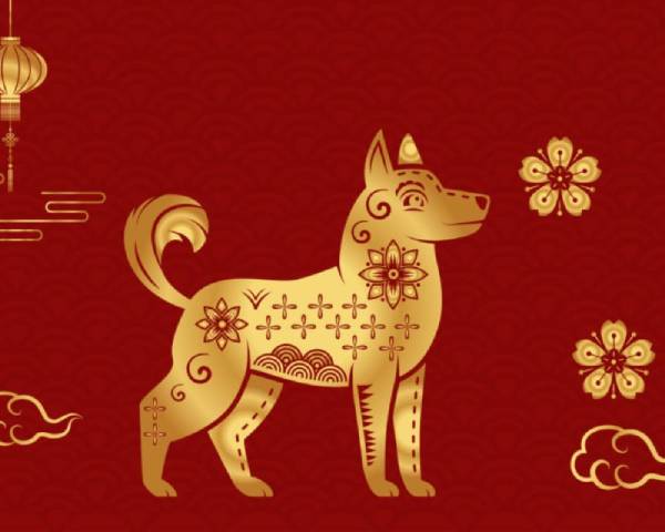 Bí ẩn con số phát tài tuổi Nhâm Tuất 20/9/2025 là gì?