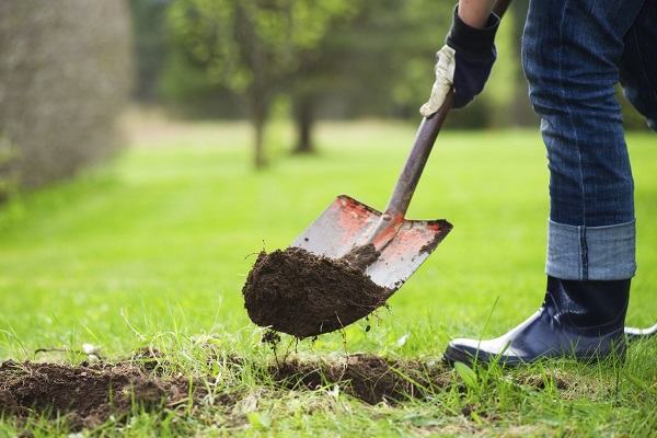 Nằm mơ thấy đào mộ có liên quan gì đến vận may tài lộc?