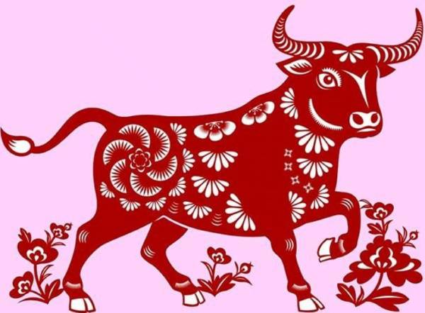 Vận trình tử vi trọn đời cho tuổi Quý Sửu