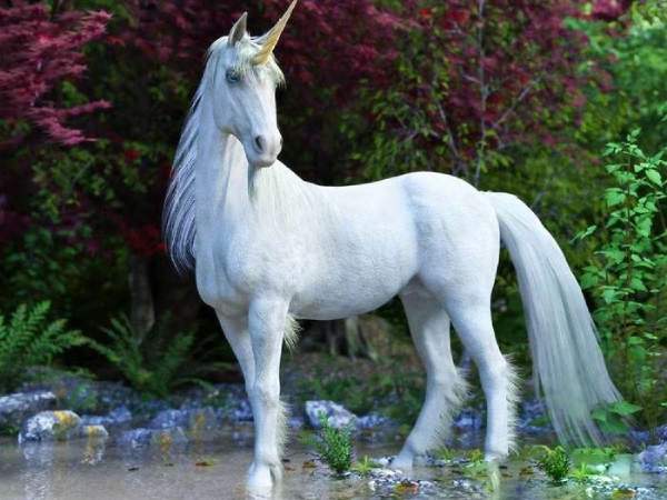 Nằm mơ thấy ngựa trắng có ý nghĩa gì và có số mấy may mắn?