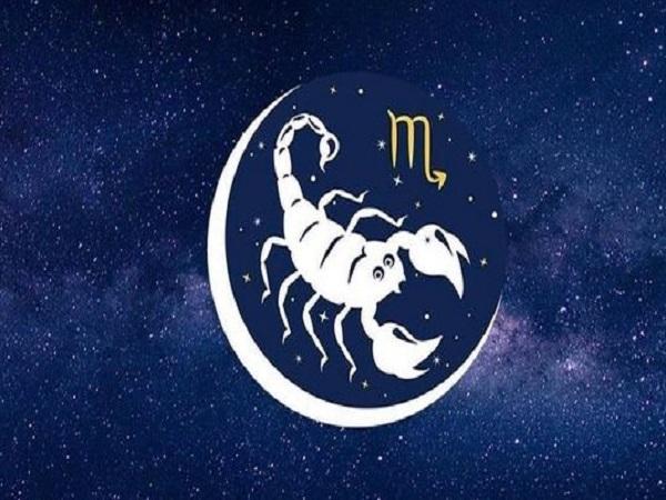 Con số may mắn ngày 24/1 cung bọ cạp