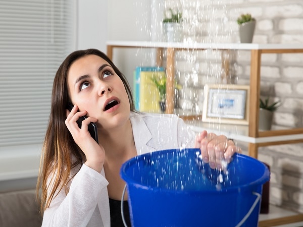 Khám phá nằm mơ thấy nhà dột là điềm gì, con gì lộc phát?